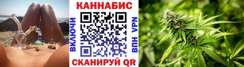 Купить закладки  Уржум  Канабис сатива 